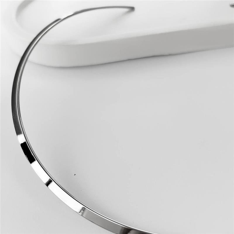 COLAR AÇO INOX ARO RÍGIDO LISO
